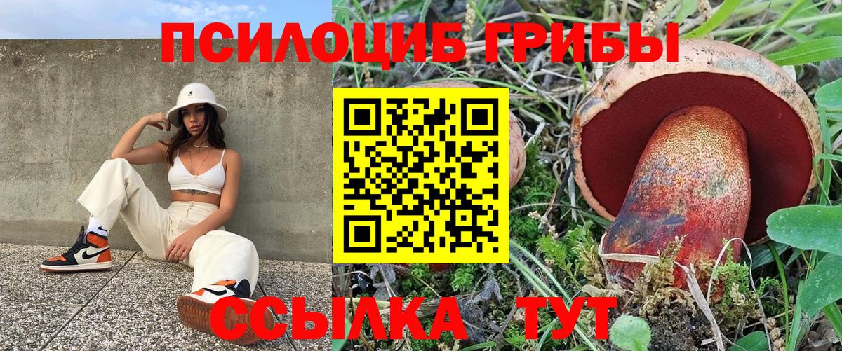 Галлюциногенные грибы Magic Shrooms  Вход с VPN  Галлюциногенные грибы GOLDEN TEACHER  Кыштым 